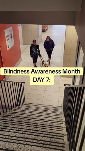 (A small disclaimer: this video was from when we were in training. We had only been a team for about a week.) Guide dogs are NOT robots. They make mistakes, and that is okay. Don't make assumptions about a guide dog that you see in public just because they made a mistake - that does not mean that they are fakes, or bad dogs, it just means that they're dogs. #fyp #awareness #blindness #guidedog #viral