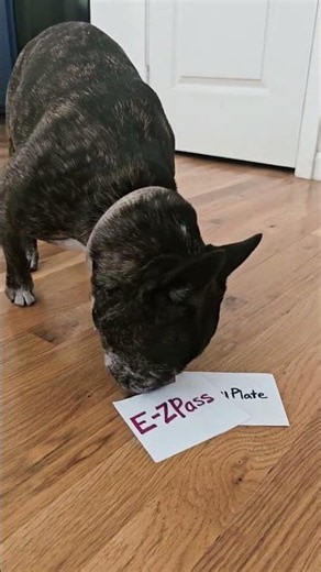 Save Money with E-ZPass Compared to Toll By Plate