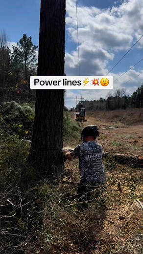 #TX #tree #removal #land #clearing #fypviralシ #Ateam #work #business #owner #outdoors #cbtreeservice #job | C&B Tree Service