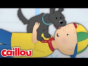 Caillou and Pepper | Caillou's New Adventures | Season 3: Episode 26