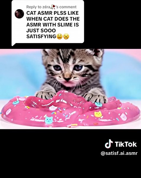 Satisf.ai on TikTok