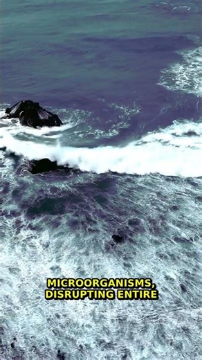 5 Trillion Microbeads | Tiny Ecosystems Hidden Secret