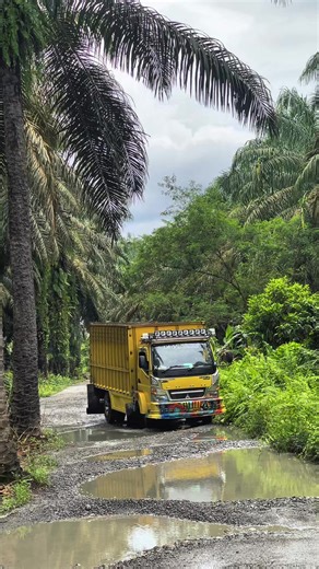 Exploring Gas Truss Techniques