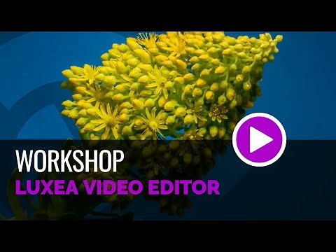 Luxea Video Editor - Workshop