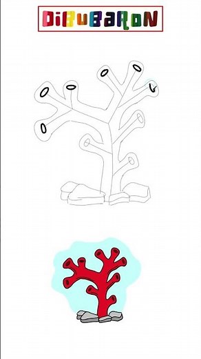 Drawing corals step by step