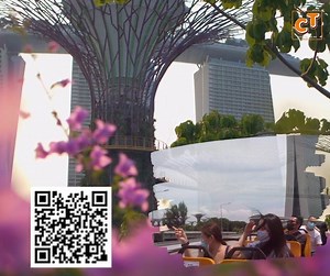 Enjoy a FunVee Open-top City Ride and rediscover the wonderful green space of the Botanic Gardens with your family, friends and loved ones. This great offer can be redeemed with your $100 SingapoRediscovers Vouchers: https://bit.ly/3o9vLGm #FunVeeCityTours #Rediscoversingapore #FunVeeCity | City Tours