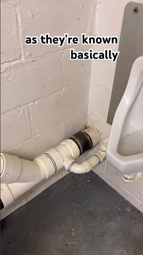 This Basement Bathroom Has No Walls
