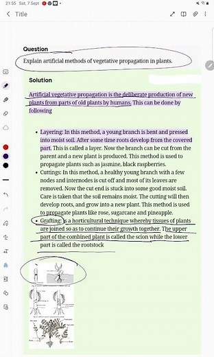 Grafting Explain artificial methods of vegetative propagation in plants.