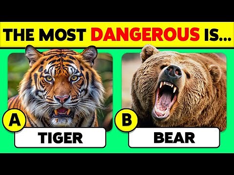 🧠 How Well Do You Know ANIMALS? 🦁🐻🐳 45 Animals Knowledge Trivia Quiz