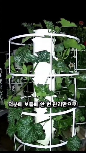 The Incredible Yield from a Single Tower: The Amazing Efficiency of Vertical Farming