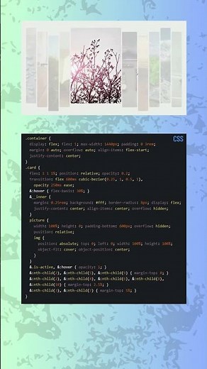 Flex Expand on Hover | CSS Flexbox Animation Tutorial