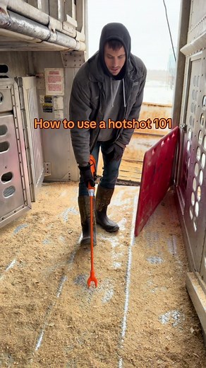How to Use a Hotshot for Livestock Management