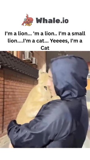 Sxrface ☠️ | - The video depicts a man in a hoodie affectionately interacting with a small lion cub outdoors at night, showing the cub nuzzling and... | Instagram