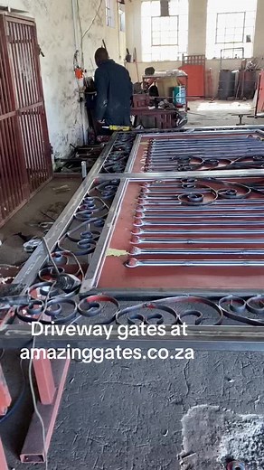 Ray Risseeuw on TikTok