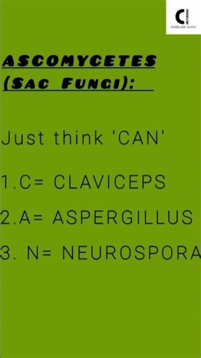 killer trick to clear confusion about fungi 🍄🌟 #study #neet #shorts #education