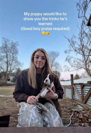 Puppy Tricks Showcase: Learn with My Boxer Puppy