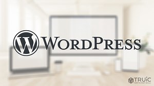WordPress Review For Business 2025 | TRUiC