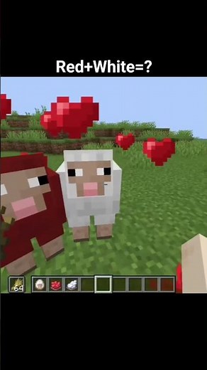 Minecraft Baby Sheep Moment