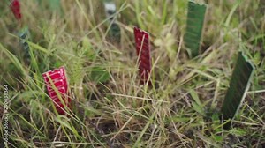 Technology blending with nature. Futuristic concept of farm or e-waste. Computer parts RAM (Random access memory) are growing in ground between grass.