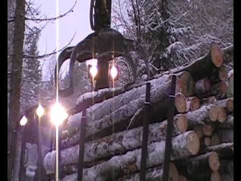 Logging timber in Norway, felling, bucking, delimbing, stacking...