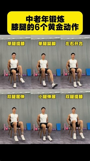 Senior Fitness Must-Haves: Essential Exercises for the Elderly