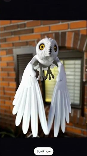 From still to flight… watch this magical owl come alive and take off! 🦉✨