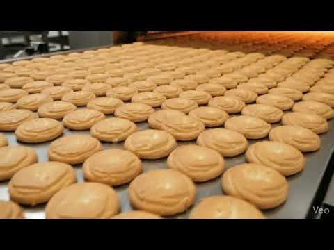 How Biscuits Are Made 🍪 | Full Factory Process