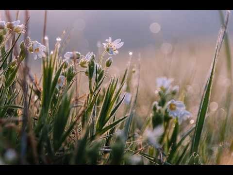 Knowing God: The Creator, The Community, The Crisis, The Correction, The Cure--Part 47