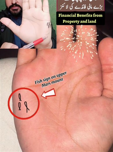 Fish sign on Mars mount in hand palm reading #foryoupage❤️❤️ #fyp #fishsign #palmreading #palmistry