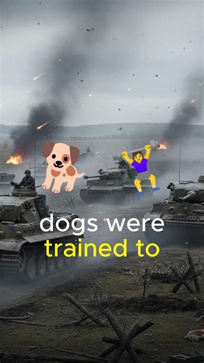 The Dogs Trained to Stop Tanks #sovietunion