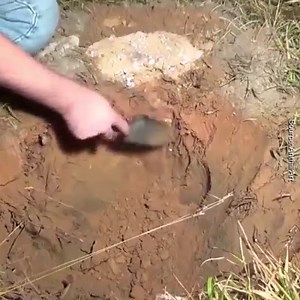 18K views · 131 reactions | Amazing Sculptures  via Anthillart.com | Inventions & Creations | Facebook