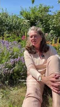 How Lavender Repels Moths | Total Wardrobe Care