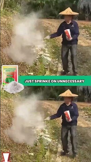 Best grass killer | Kill Weeds Fast & Easy🌱Weed Remover, Cyclosinone Herbicide Granules #WeedRemoval