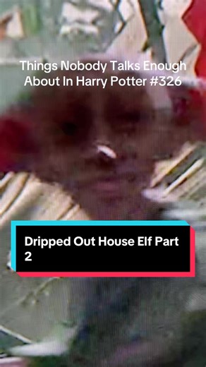 Things Nobody Talks Enough About In Harry Potter 326 dripped out House Elf #houseelf #harrypottertiktok #harrpotter #potterhead #harrypottertok