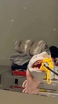 DAY IN THE LIFE OF SHARK PUPPET!