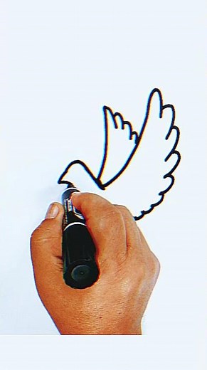 Paloma de la Paz: Dibujo Fácil Paso a Paso