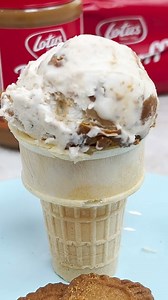 Super Easy Biscoff Ice Cream | Definitely Not Gourmet