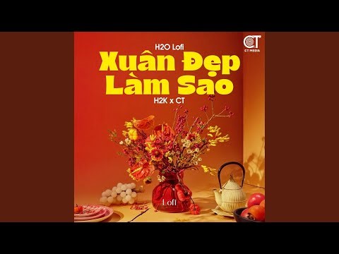 Xuân Đẹp Làm Sao (Lofi)