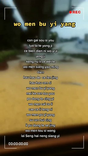 Wo Men Bu Yi Yang - Meaning and Lyrics Explained