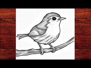 Easy Bird Drawing | How to draw a Bird Scenery Step By Step | Scenery Drawing Bird drawing