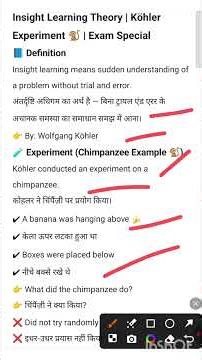 Insight Learning Theory | Köhler Experiment 🐒 | Exam Special