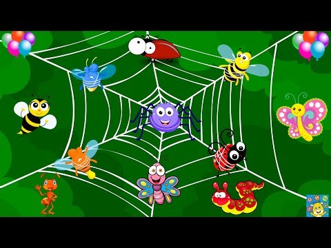 Fun Finger Play for Toddlers: The Itsy Bitsy Spider