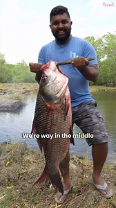 XXL Size Fish Curry Cooked Deep in the Jungle of Sri Lanka!! 🐟 | Chopstick Travel