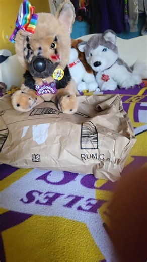 Unboxing My Douglas Plush Smoke Wolf Aleu With My Douglas Plush German Shepherd Isabella Dino Kike Hernandez Freddie Freeman She #essacommunity🤍🦮🐕‍🦺2026 #douglasplushsteelgermanshepherd #douglassmokewolf #douglasdogsessas #essas