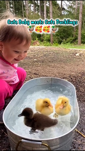 Baby Meets Ducklings For The First Time 🐥❤️ (Cutest Thing Ever) #baby #cute #duck #animals #shorts