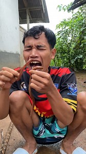 Apwan dimakan belut | Apwan