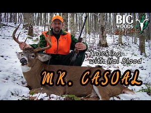 Mr. Casual | Tracking with Hal Blood