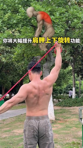 Transform Your Shoulders: Rotator Cuff & Shoulder Stabilization Routine