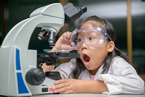 10 Amazing Junior Stem and Science lessons for Primary and ESL Students.Making English Fun