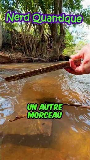 Les Animaux en Bois ne Flottent Pas ?